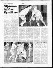 Síða 17