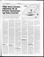 Síða 19