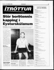 Síða 21