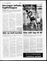 Síða 23