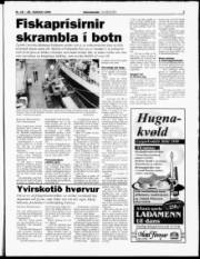 Síða 3