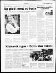 Síða 6
