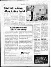 Síða 12