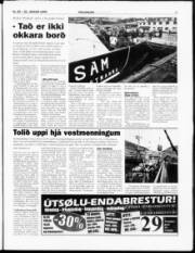Síða 3