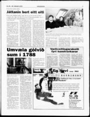 Síða 7