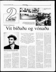 Síða 13