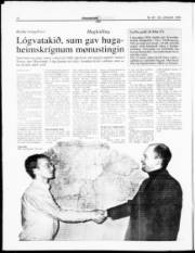 Síða 17