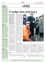 Síða 6