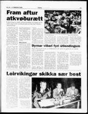 Síða 13