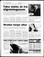 Síða 3