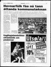 Síða 3