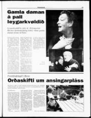 Síða 13
