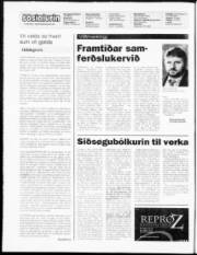 Síða 2