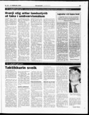 Síða 25