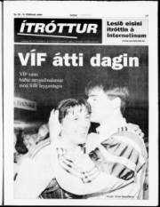 Síða 13