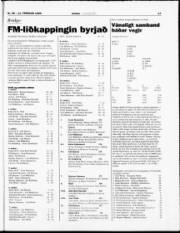 Síða 17