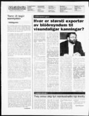 Síða 2