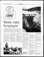 Síða 13