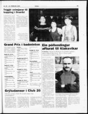 Síða 22