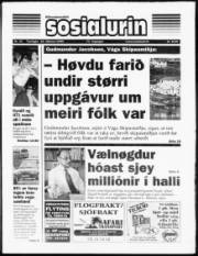 Síða 1