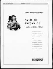 Síða 3
