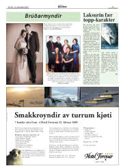 Síða 19