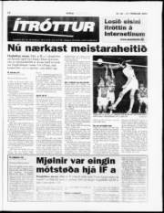 Síða 15