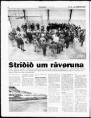 Síða 8
