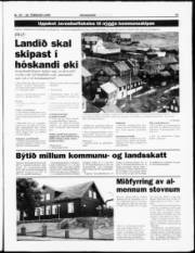 Síða 11