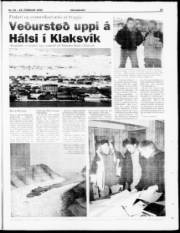 Síða 25