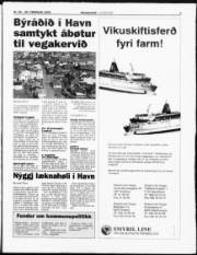 Síða 3