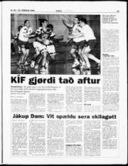 Síða 15