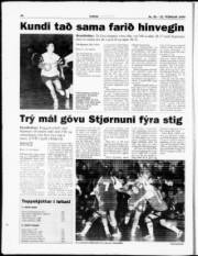Síða 18