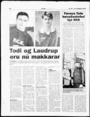 Síða 20