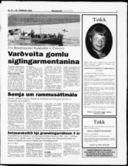 Síða 7