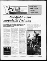 Síða 11