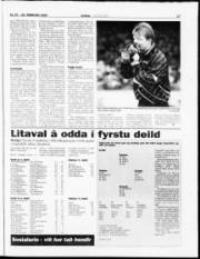 Síða 17
