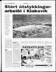 Síða 3