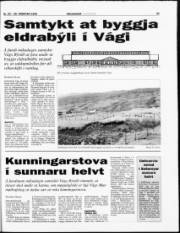 Síða 21