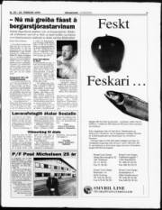 Síða 3