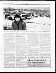 Síða 17