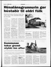 Síða 11