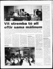 Síða 12
