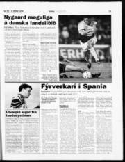 Síða 21