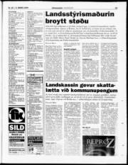 Síða 29