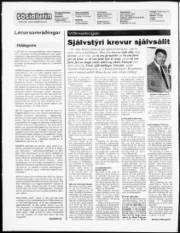 Síða 2