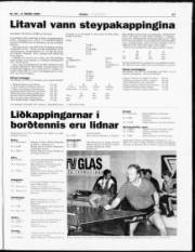 Síða 17