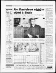 Síða 32