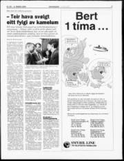 Síða 3