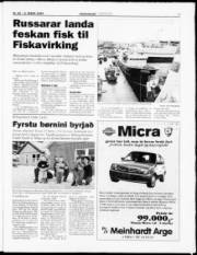 Síða 7
